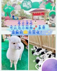 -萌宠亲子动物乐园(槐房万达店)
