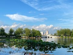 -长春市南湖公园