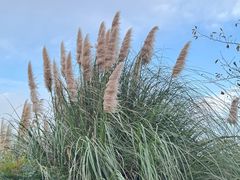 -贵阳市花溪国家城市湿地公园