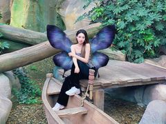 -杭州开元森泊度假乐园