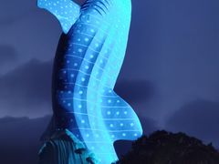 -珠海长隆海洋王国