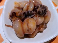 辣味鱿鱼-新一番三文鱼寿司(红城湖店)