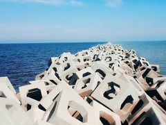 -东疆建设开发纪念公园