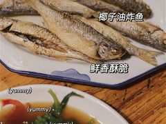 -东郊椰林