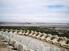 -南汇嘴观海公园