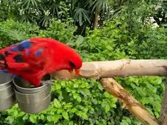 -南宫五洲植物乐园