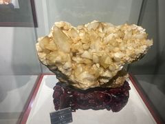 -蔡伦竹海