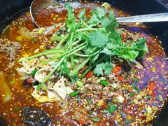 牛肉冒菜-宽窄巷子冒菜(中华广场店)