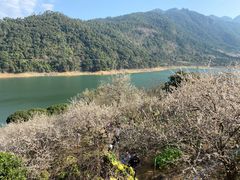 -广州市流溪河国家森林公园