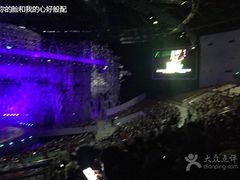 -灵玲国际马戏城