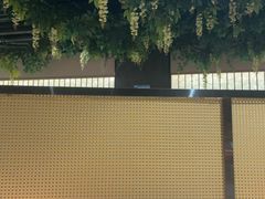 -番食园鲜食火锅(高新店)
