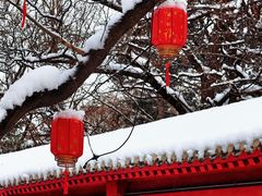 -龙湖星悦荟(颐和店)