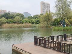 -洋湖国家湿地公园