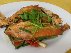 -长平老姿娘夜粥(平东一街店)