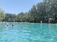 -柳浪游泳场