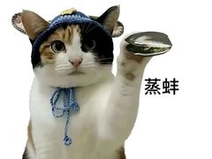-船歌·鱼水饺青岛菜(恒隆广场店)
