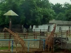 -西安秦岭野生动物园