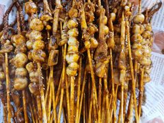 鱿鱼嘴-十里铺铁板鱿鱼