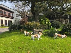 -杭州西湖柳莺里酒店·闻莺厅