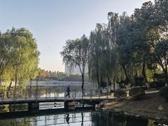 -后襄河公园