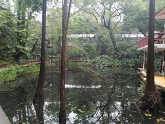 -广州兰圃