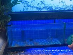 -透明思烤·自助烤肉海鲜火锅(东部星悦天地店)