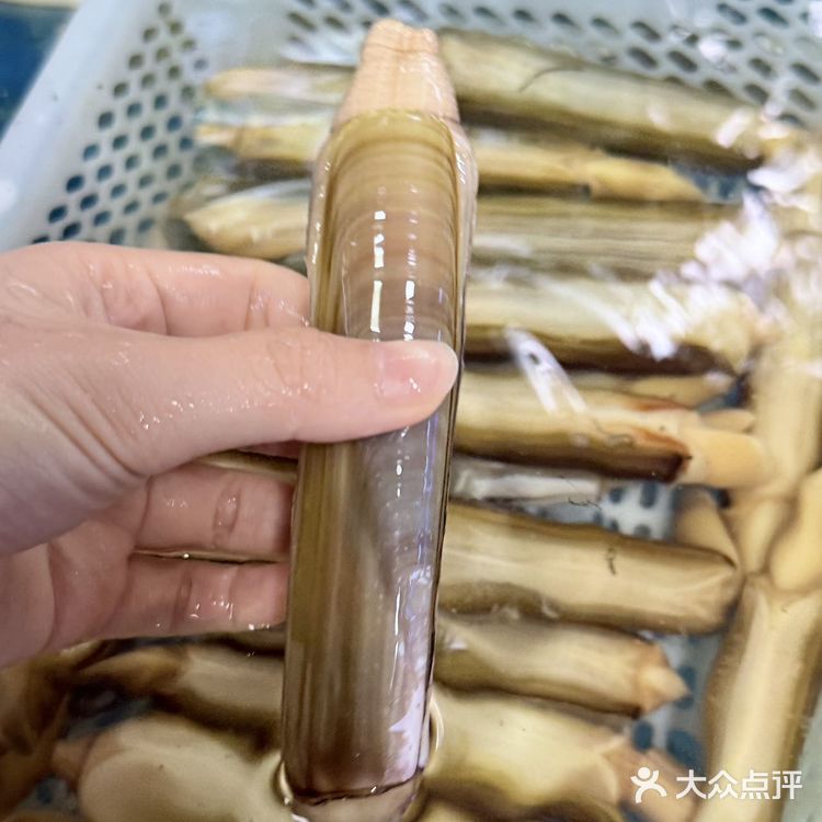 今天吃到了乌萨奇原型……