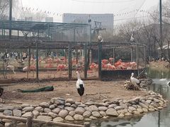 -郑州市动物园