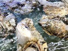 -钱塘府海鲜餐厅