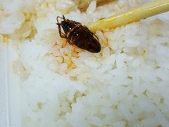 -金良酸菜鱼(宁海路总店)