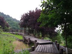 -铁山坪森林公园