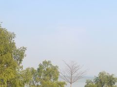 -深圳湾公园(南山区)