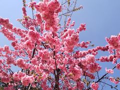 -名花谷生态庄园