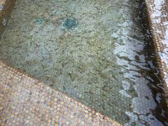 -金石唐风国际温泉会馆