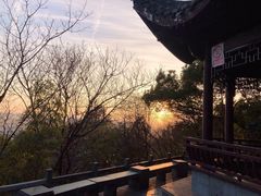 -杭州半山国家森林公园