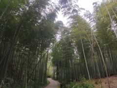 -陶祖圣境风景区