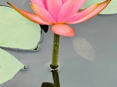 -星巴克(深圳前海企业公馆店)