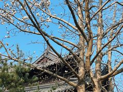 -狼山风景名胜区