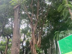 -燕晗山郊野公园