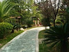 -咸宁万豪温泉谷度假区