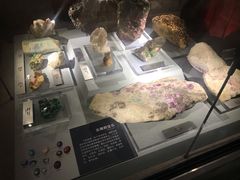 -百年朱苦拉咖啡(博物馆店)