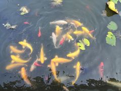 -呼兰河口湿地公园