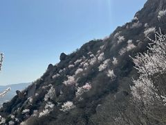 -北京凤凰岭