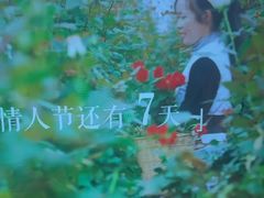 -西贝(六里桥旗舰店)