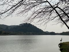 -顺峰山公园
