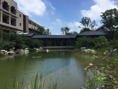 iphone_upload_pic-红豆杉庄会议中心