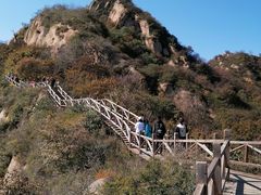 -大岭沟猕猴桃谷风景区