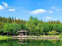-尚湖风景区