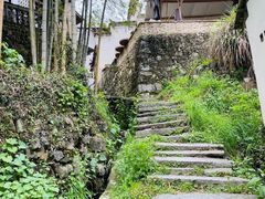 -塔川景区