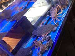 水产区-千代武日本料理(爱建店)